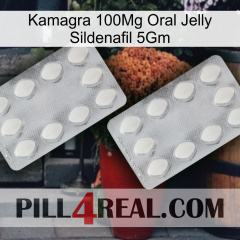 Kamagra 100Mg Oral Jelly Sildenafil 5Gm 17